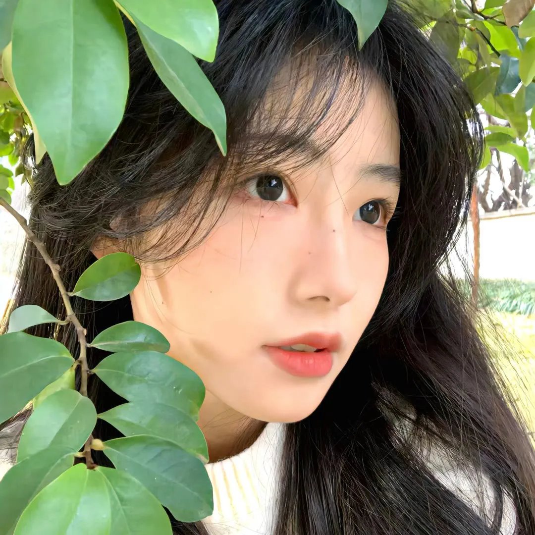 曲中情未了